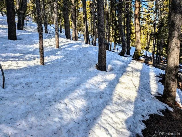 Lot 677 Alice Road Idaho Springs, CO 80453