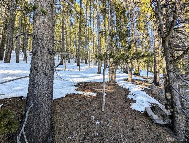 Lot 677 Alice Road Idaho Springs, CO 80453