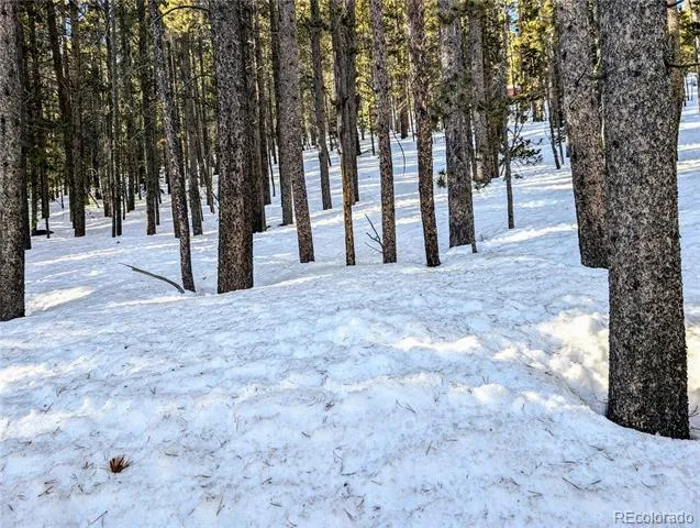 Lot 677 Alice Road Idaho Springs, CO 80453