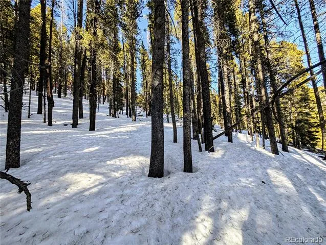 Lot 677 Alice Road Idaho Springs, CO 80453