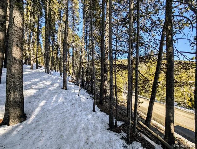 Lot 677 Alice Road Idaho Springs, CO 80453