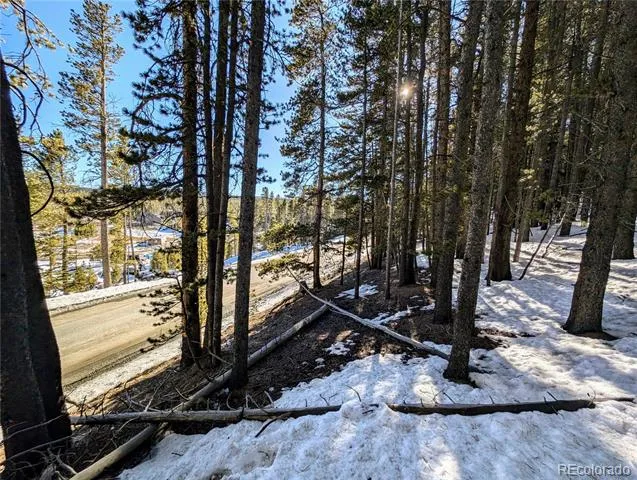 Lot 677 Alice Road Idaho Springs, CO 80453
