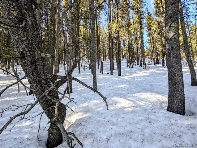 Lot 677 Alice Road Idaho Springs, CO 80453