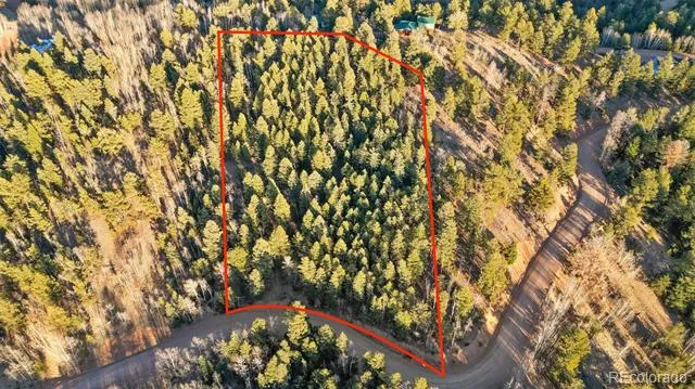 1289 Yorktown Road Cripple Creek, CO 80813