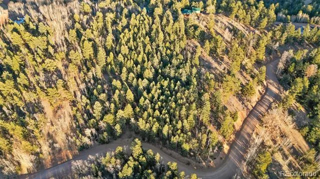 1289 Yorktown Road Cripple Creek, CO 80813