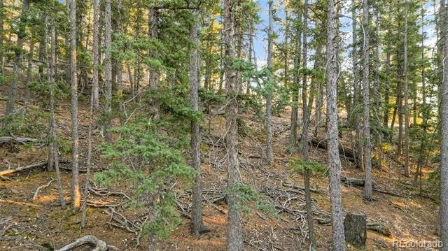 1289 Yorktown Road Cripple Creek, CO 80813