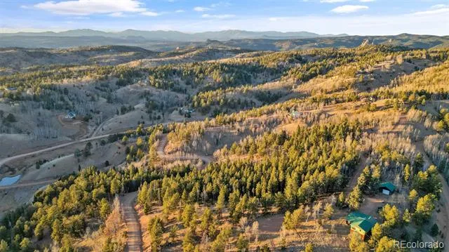 1289 Yorktown Road Cripple Creek, CO 80813