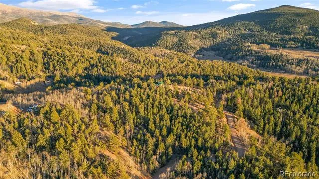 1289 Yorktown Road Cripple Creek, CO 80813