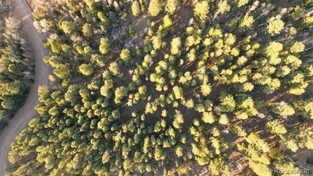 1289 Yorktown Road Cripple Creek, CO 80813