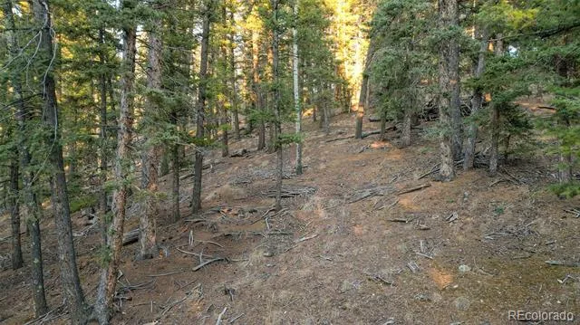 1289 Yorktown Road Cripple Creek, CO 80813