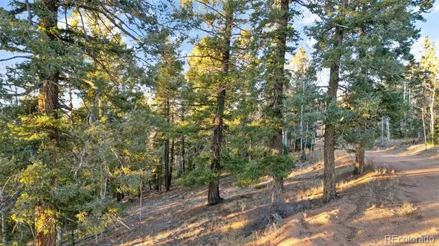 1289 Yorktown Road Cripple Creek, CO 80813