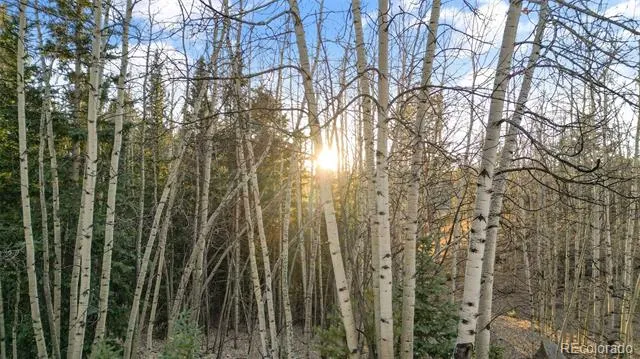 1289 Yorktown Road Cripple Creek, CO 80813