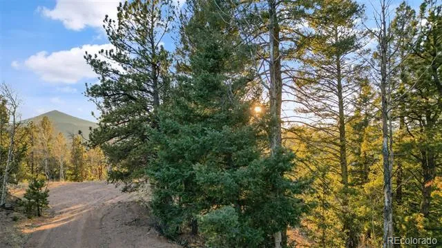 1289 Yorktown Road Cripple Creek, CO 80813