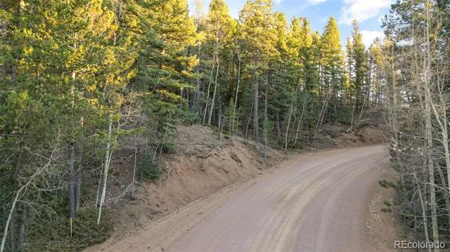 1289 Yorktown Road Cripple Creek, CO 80813