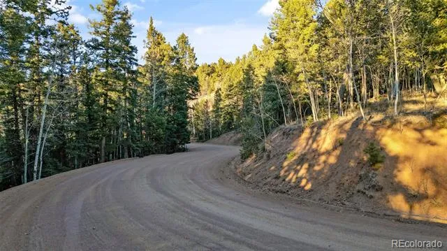 1289 Yorktown Road Cripple Creek, CO 80813