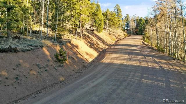 1289 Yorktown Road Cripple Creek, CO 80813