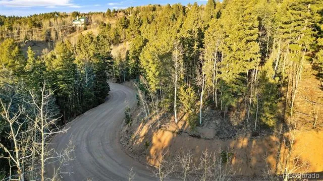 1289 Yorktown Road Cripple Creek, CO 80813