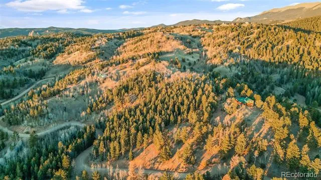 1289 Yorktown Road Cripple Creek, CO 80813
