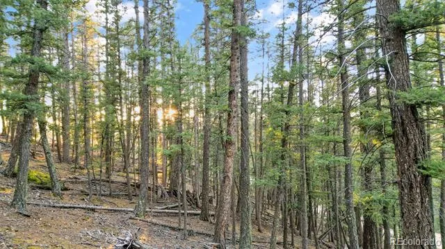 1289 Yorktown Road Cripple Creek, CO 80813