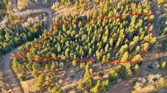 1289 Yorktown Road Cripple Creek, CO 80813