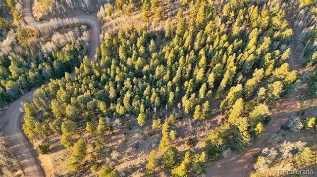 1289 Yorktown Road Cripple Creek, CO 80813
