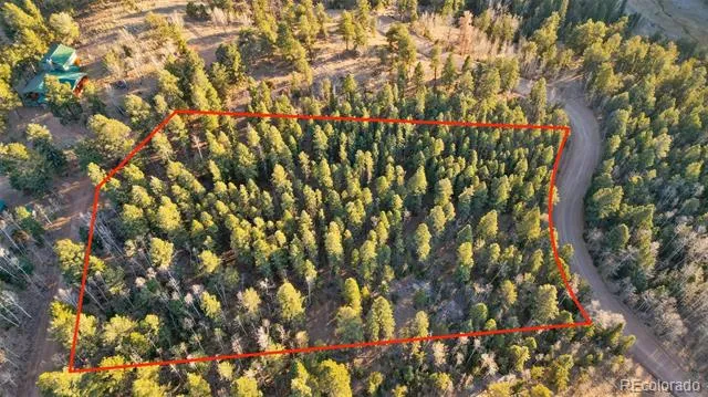 1289 Yorktown Road Cripple Creek, CO 80813