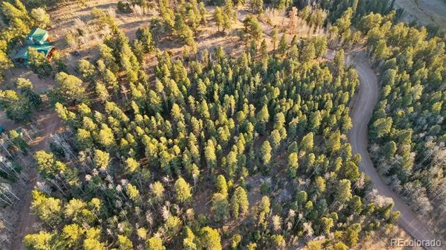 1289 Yorktown Road Cripple Creek, CO 80813