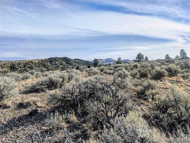Lot 4822 Spencer Road Fort Garland, CO 81133