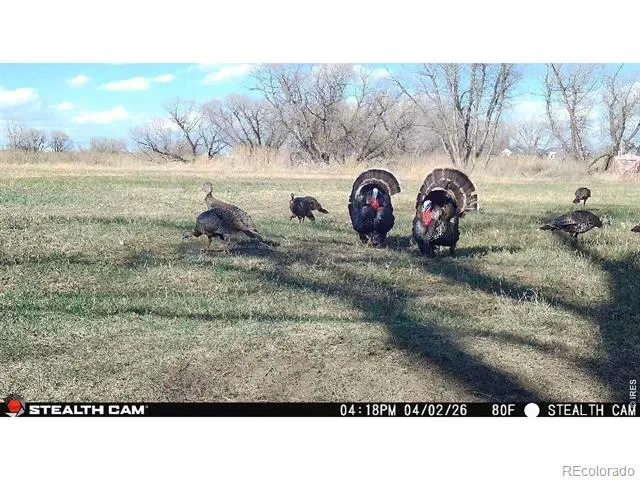27446 County Road 388 Kersey, CO 80644