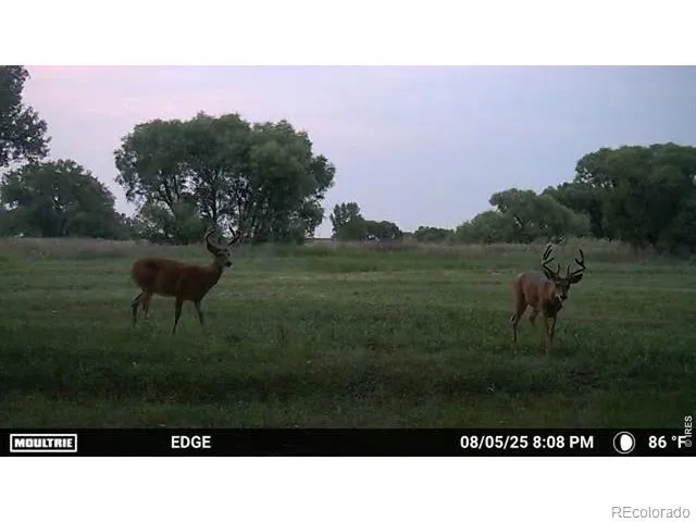 27446 County Road 388 Kersey, CO 80644
