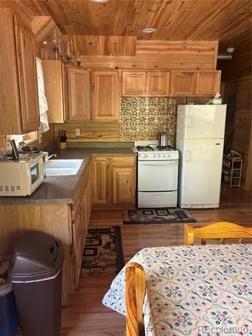 613 Alamosa Avenue Jasper, CO 81140