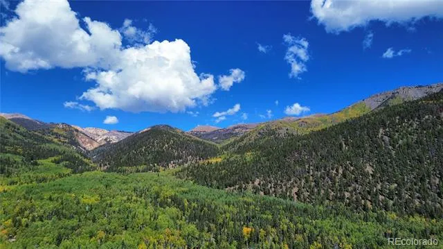 613 Alamosa Avenue Jasper, CO 81140