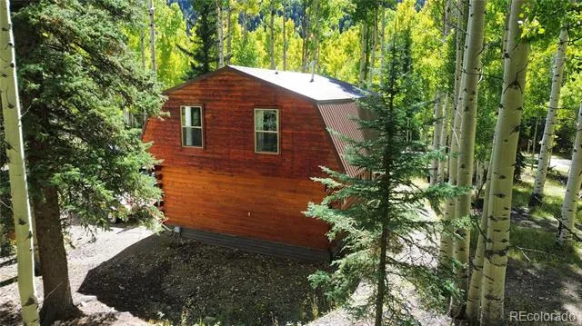 613 Alamosa Avenue Jasper, CO 81140