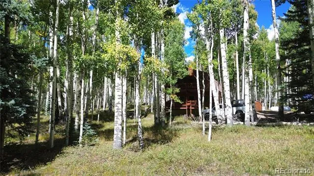 613 Alamosa Avenue Jasper, CO 81140