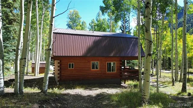 613 Alamosa Avenue Jasper, CO 81140