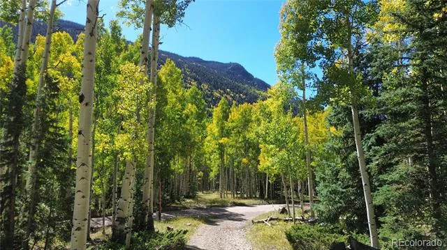 613 Alamosa Avenue Jasper, CO 81140
