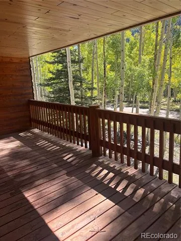 613 Alamosa Avenue Jasper, CO 81140