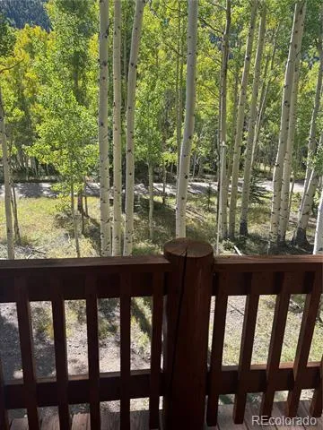 613 Alamosa Avenue Jasper, CO 81140