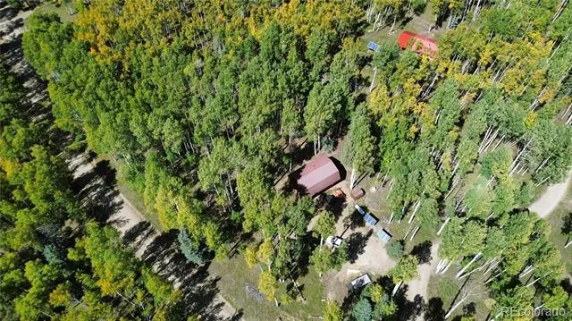 613 Alamosa Avenue Jasper, CO 81140