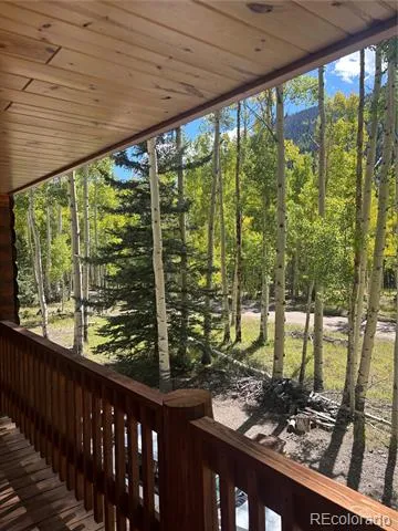 613 Alamosa Avenue Jasper, CO 81140