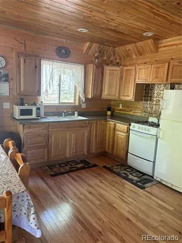 613 Alamosa Avenue Jasper, CO 81140