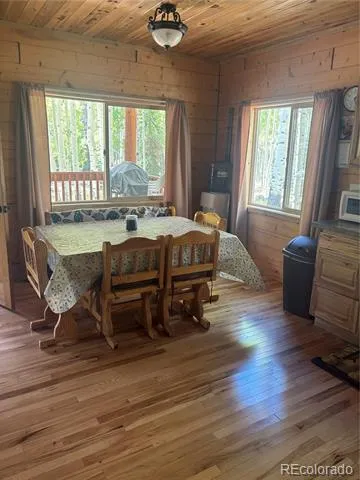 613 Alamosa Avenue Jasper, CO 81140