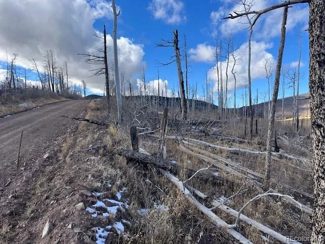 Lot 2397 Petito Drive Fort Garland, CO 81133
