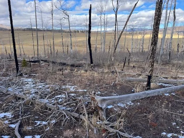 Lot 2397 Petito Drive Fort Garland, CO 81133