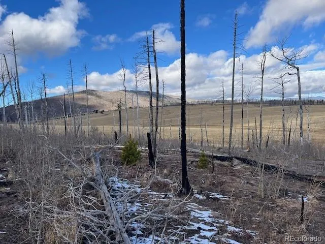 Lot 2397 Petito Drive Fort Garland, CO 81133