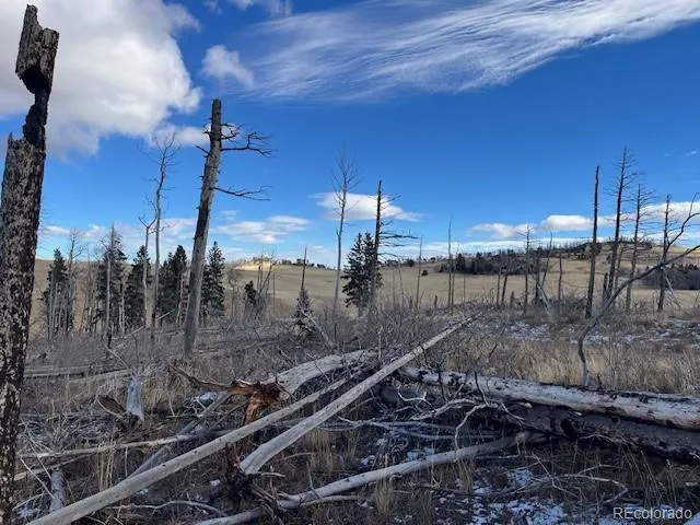 Lot 2397 Petito Drive Fort Garland, CO 81133