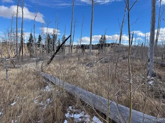 Lot 2397 Petito Drive Fort Garland, CO 81133