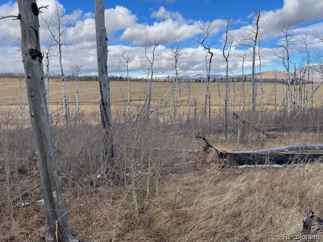 Lot 2397 Petito Drive Fort Garland, CO 81133