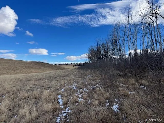 Lot 2397 Petito Drive Fort Garland, CO 81133