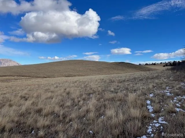 Lot 2397 Petito Drive Fort Garland, CO 81133